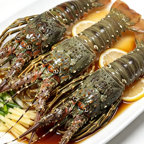 Fresh Live Boston Lobster, 1.25 lb